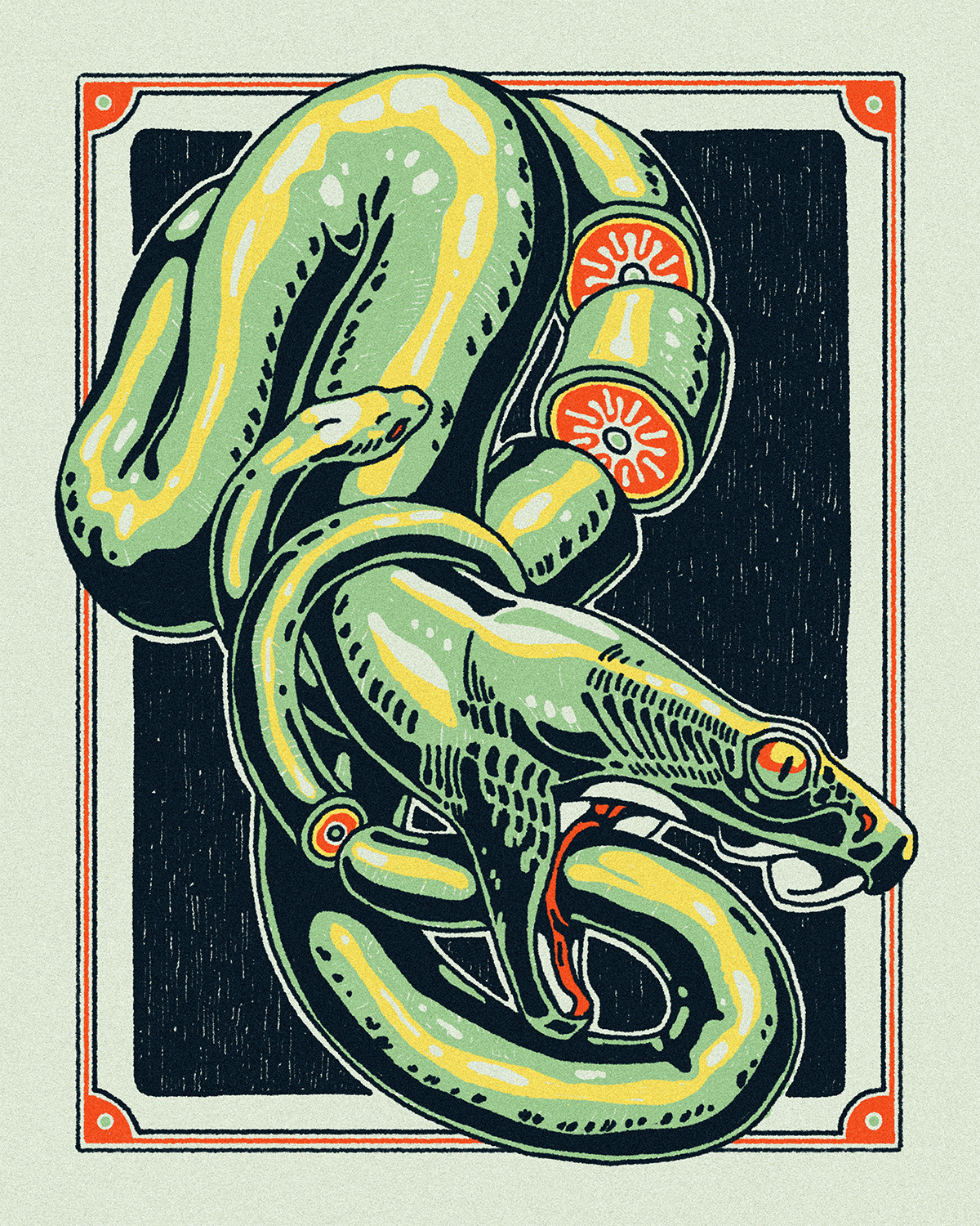 Portfolio joint snake for print copy